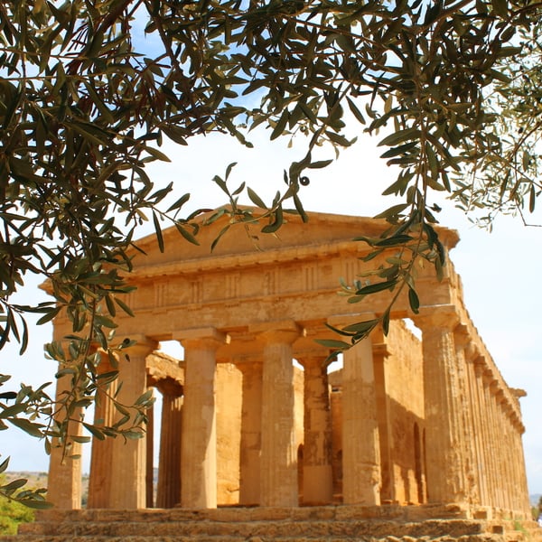 Culture and sights