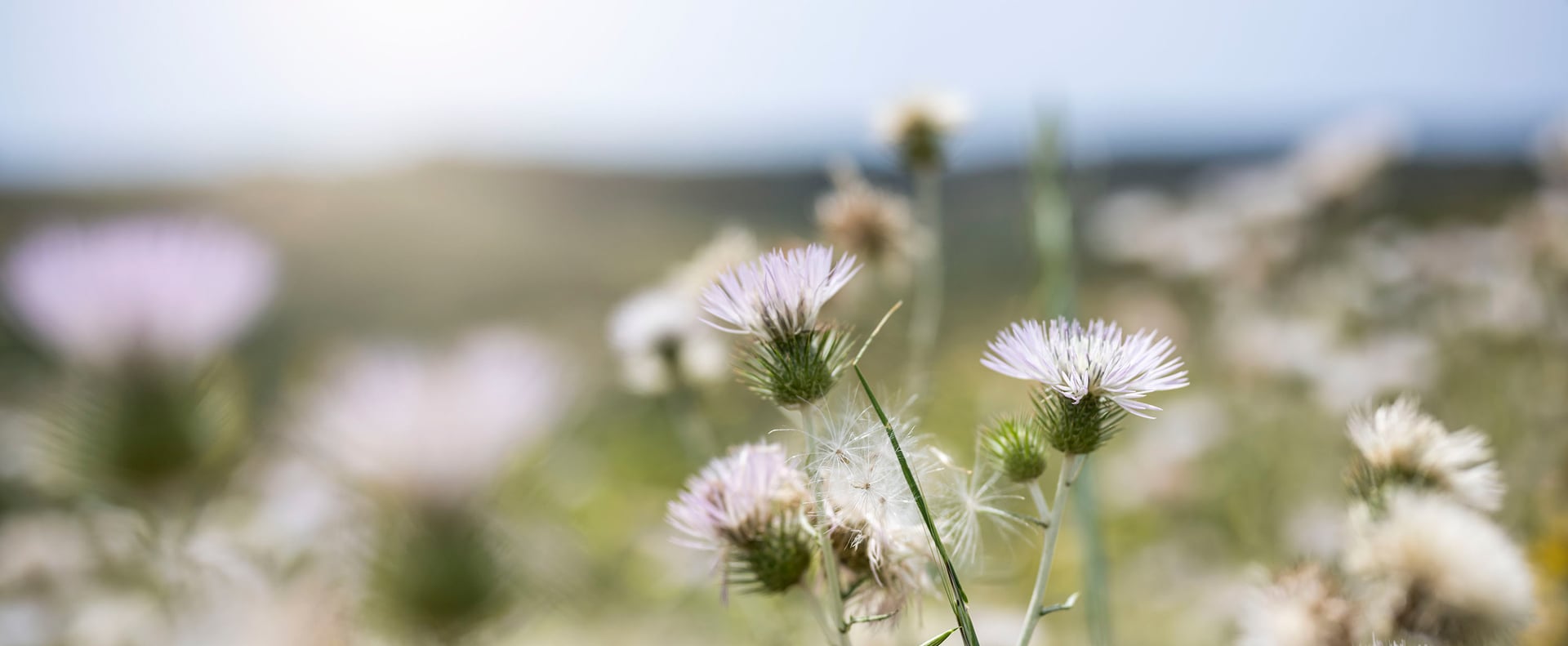 La forza della natura
