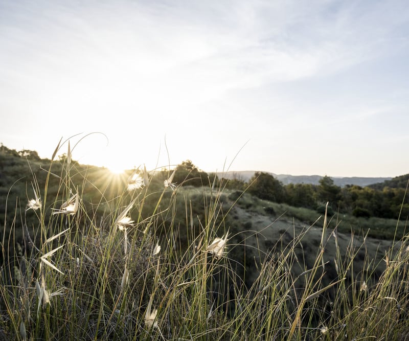 Taking concrete action: the EarthCheck certification
